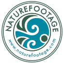 NatureFootage