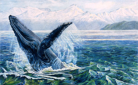 HumpbackWhale